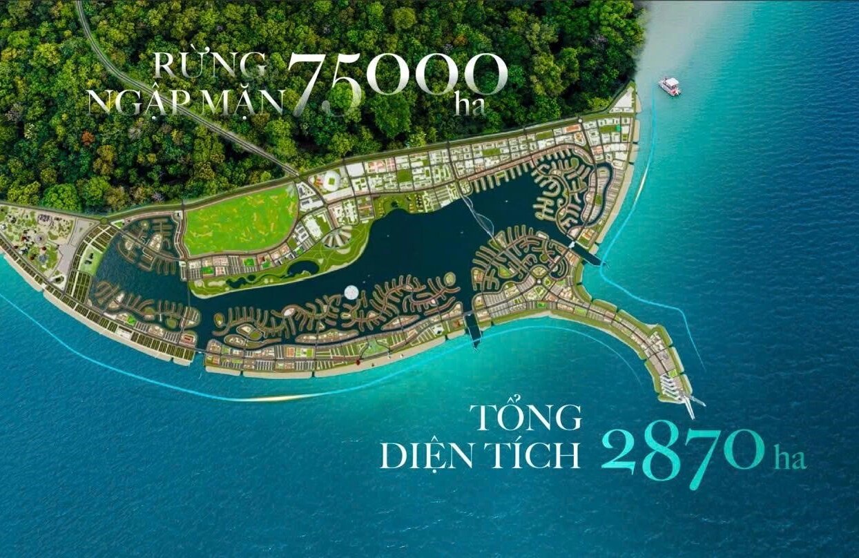 TẠI SAO DỰ ÁN LẤN BIỂN VINHOMES CẦN GIỜ THU HÚT NHÀ ĐẦU TƯ HÀ NỘI?